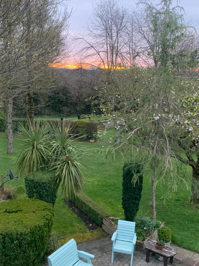 The Mews Villa Newbridge  Buitenkant foto