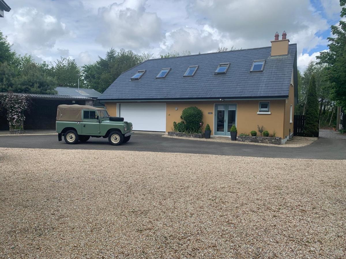 The Mews Villa Newbridge  Buitenkant foto
